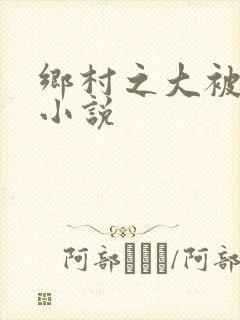 乡村之大被同眠小说