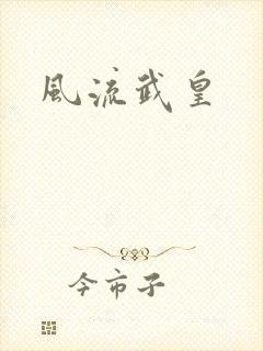 《风流武皇》小说封面