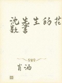 沈先生的花式调数书