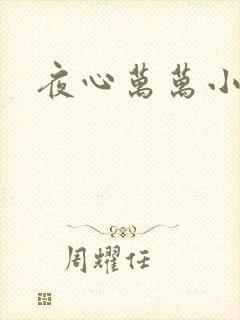 夜心万万小说