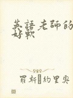 英语老师的兔子好软
