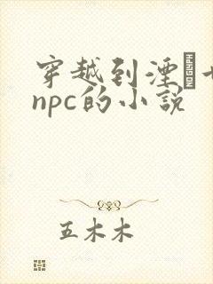 穿越到湮婸世界npc的小说