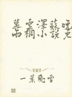 慕云泽苏晚晴夏雨桐小说免费阅读