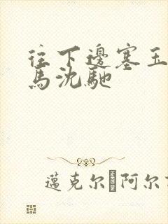 往下边塞玉器骑马沈驰