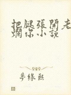 把腿张开老子臊烂你小说