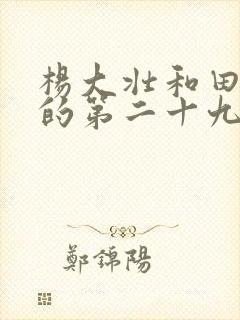 杨大壮和田桂花的第二十九