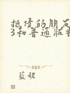 抵债的朋友麦子3和普通版对比