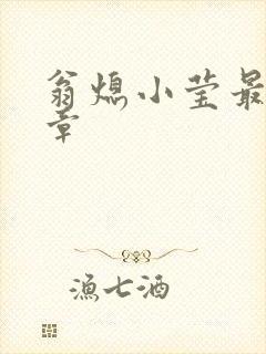 翁熄小莹最新节章