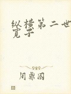 纵横第二世界 宽子