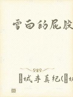 雪白的屁股小说