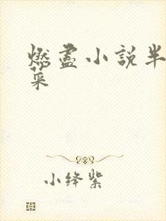 燃尽小说半截白菜