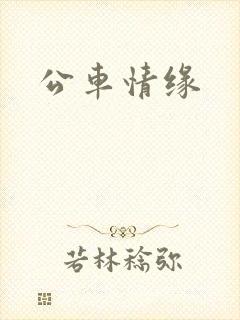 公车情缘