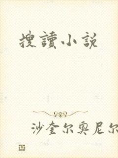 搜读小说