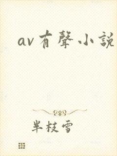av有声小说