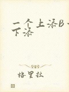 一个上添B一个下添