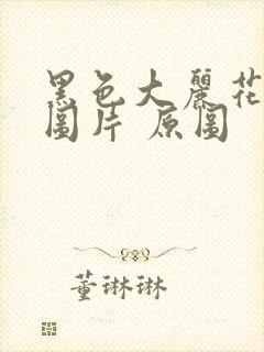 黑色大丽花真实图片 原图