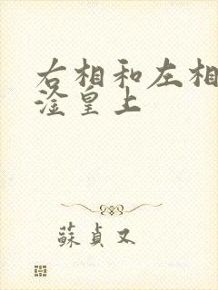 右相和左相一起淦皇上