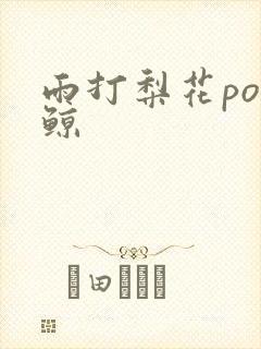 雨打梨花po问鲸