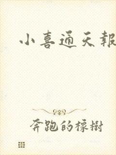 小喜通天报