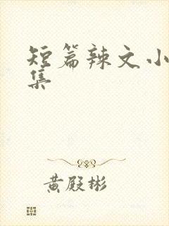 短篇辣文小说合集