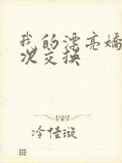 我的漂亮娇妻初次交换