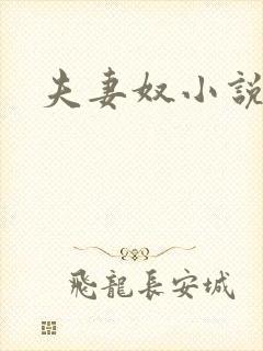 《夫妻奴小说》小说封面