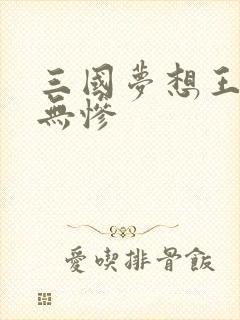 三国梦想王元姬无惨