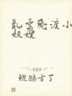 乱云飞渡小说之姣嫂