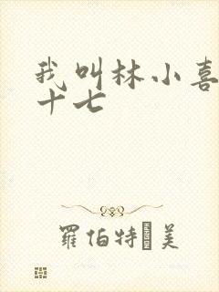 我叫林小喜今年十七