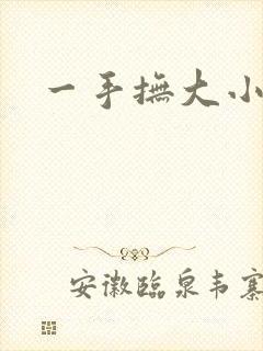 一手抚大小说