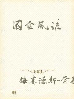 《国企风流》小说封面