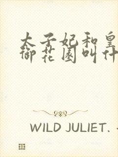 太子妃和皇帝在御花园叫什么小说