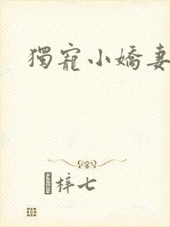 独宠小娇妻