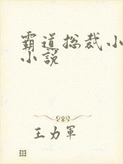 霸道总裁小娇妻小说