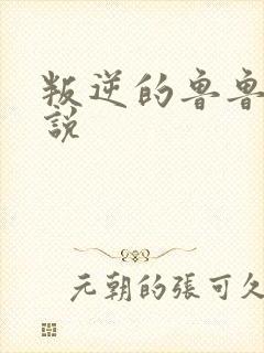 叛逆的鲁鲁修小说