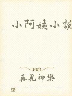 小阿姨小说