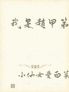 我是赵甲第小说