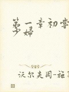 第一章初尝极品少妇