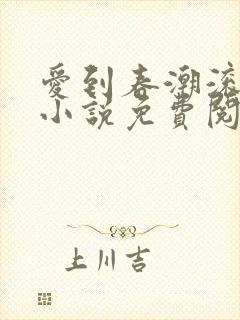 爱到春潮滚滚来小说免费阅读