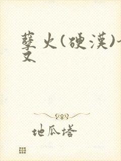 孽火(硬汉)今又