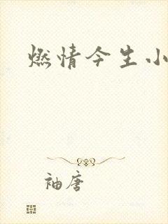 燃情今生小说