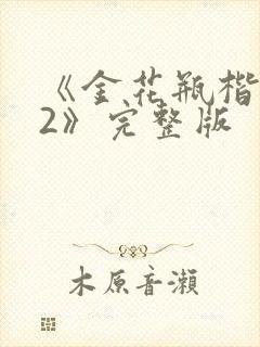 《金花瓶楷梅花2》完整版