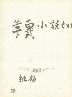 告白小说txt下载