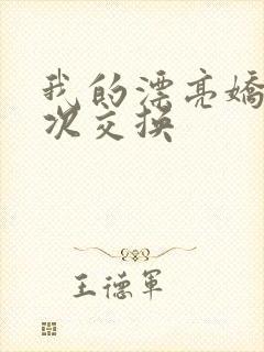 我的漂亮娇妻初次交换
