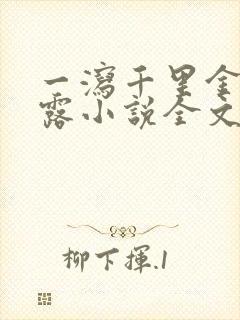 一泻千里金银花露小说全文免费阅读