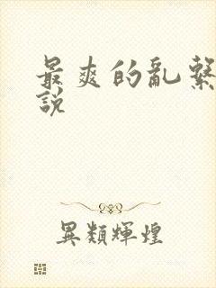 最爽的乱系列小说