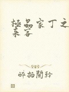 极品家丁之远方来客