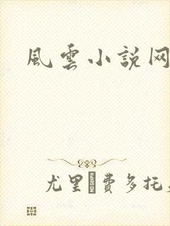 风云小说网