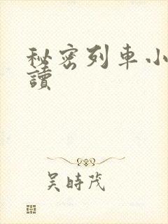 秘密列车小说阅读