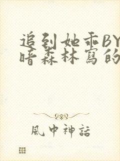 追到她乖BY黑暗森林写的小说